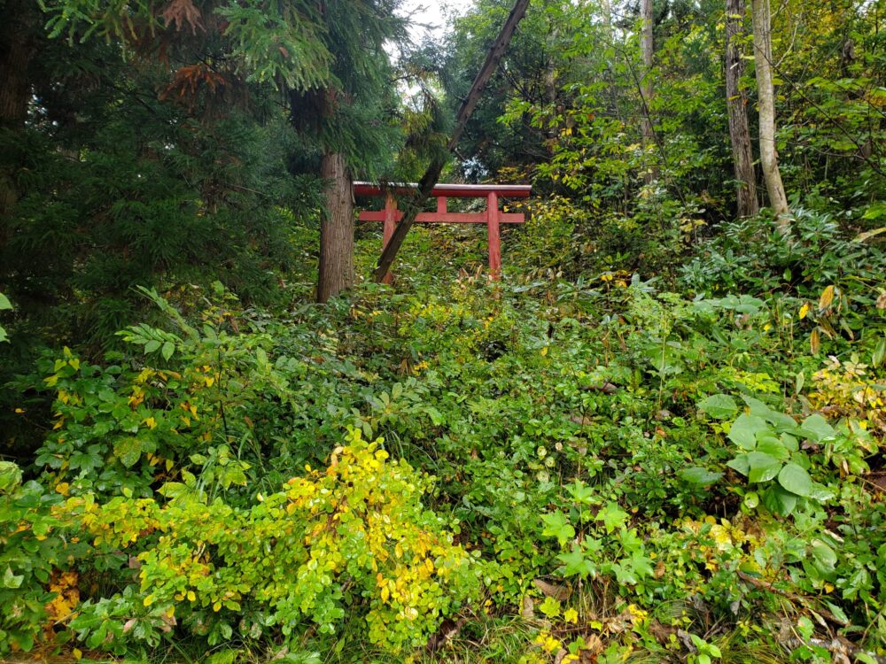 大立洞窟ー鳥居