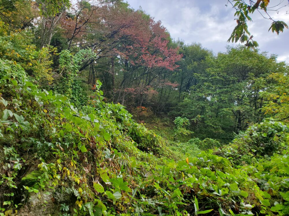 大立洞窟ー道中