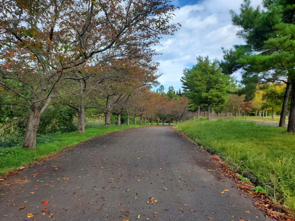 南陽市総合公園ー歩道