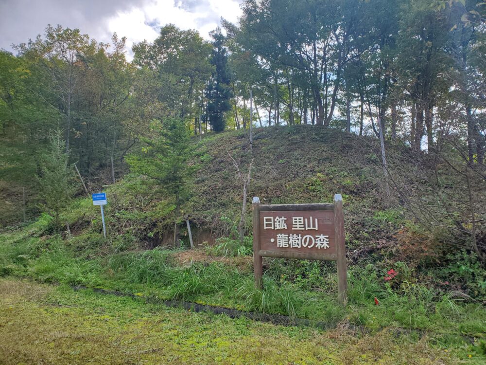 南陽市総合公園ー看板