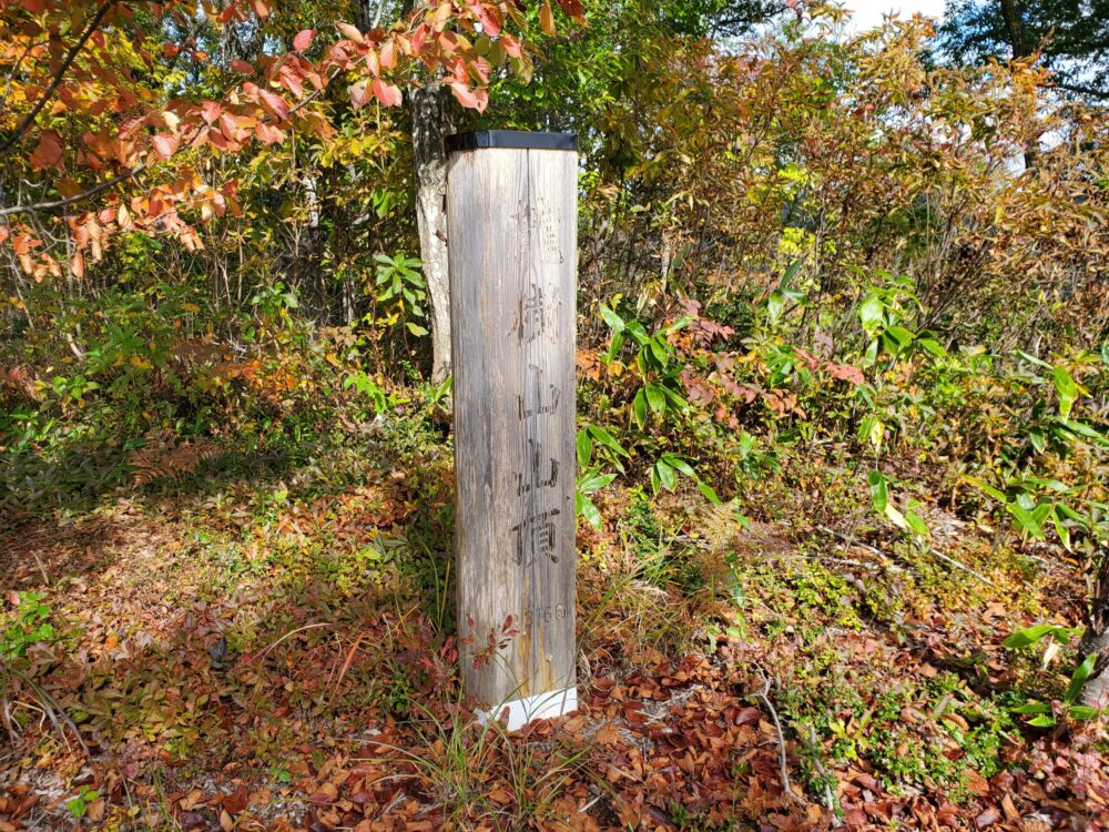 南陽市総合公園ー山道