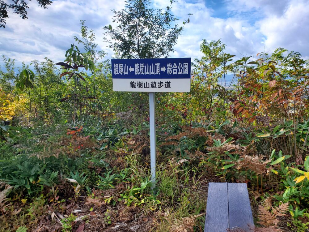 南陽市総合公園ー山頂
