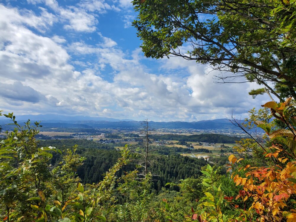 南陽市総合公園ー山頂