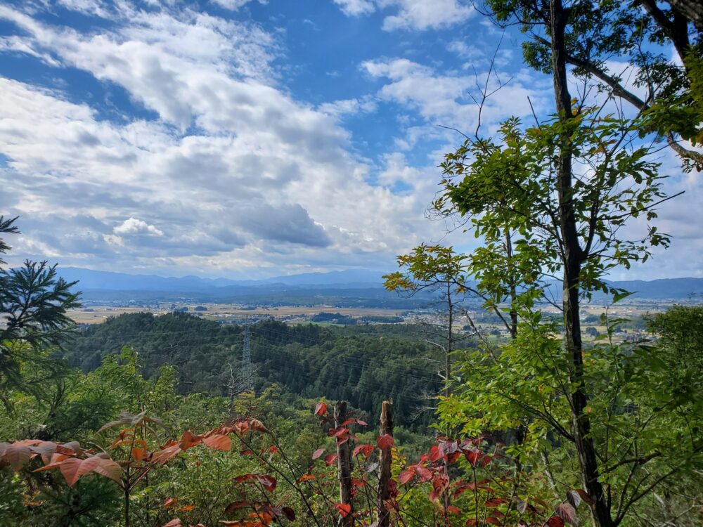 南陽市総合公園ー山頂