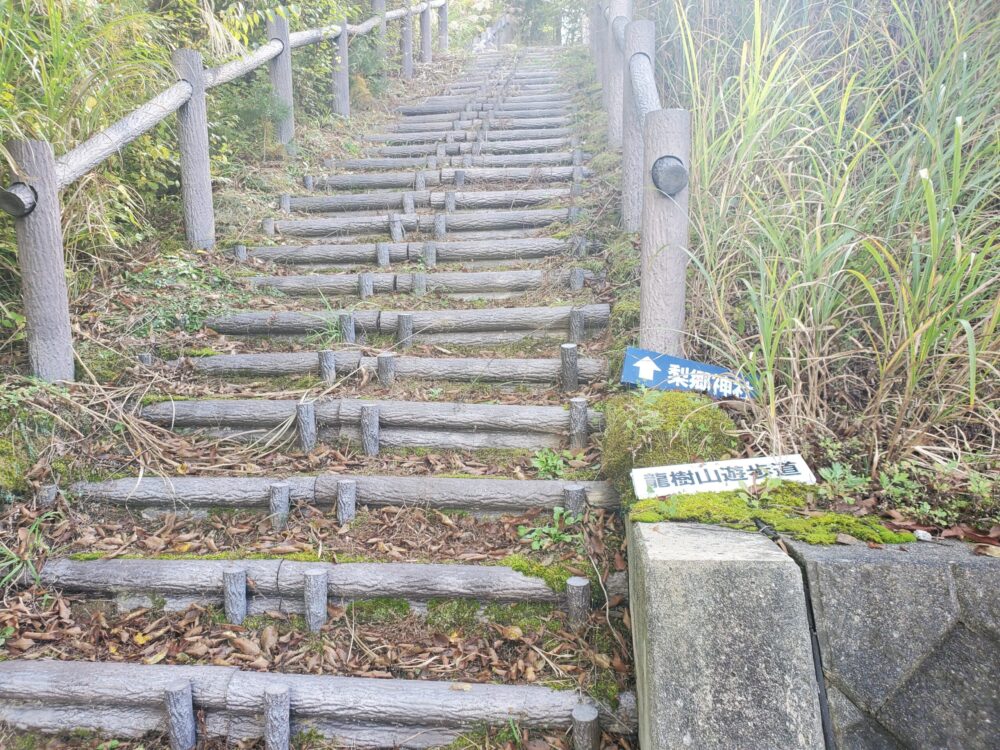 南陽市総合公園ー山道