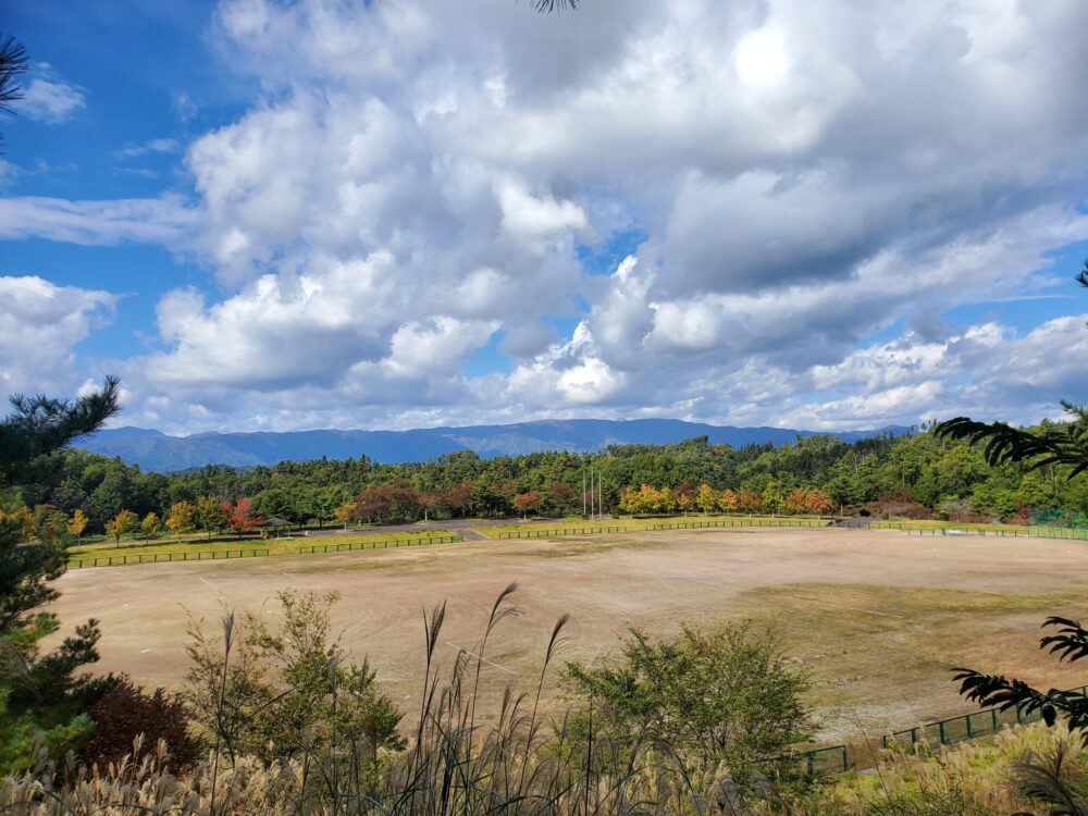 南陽市総合公園ー景色
