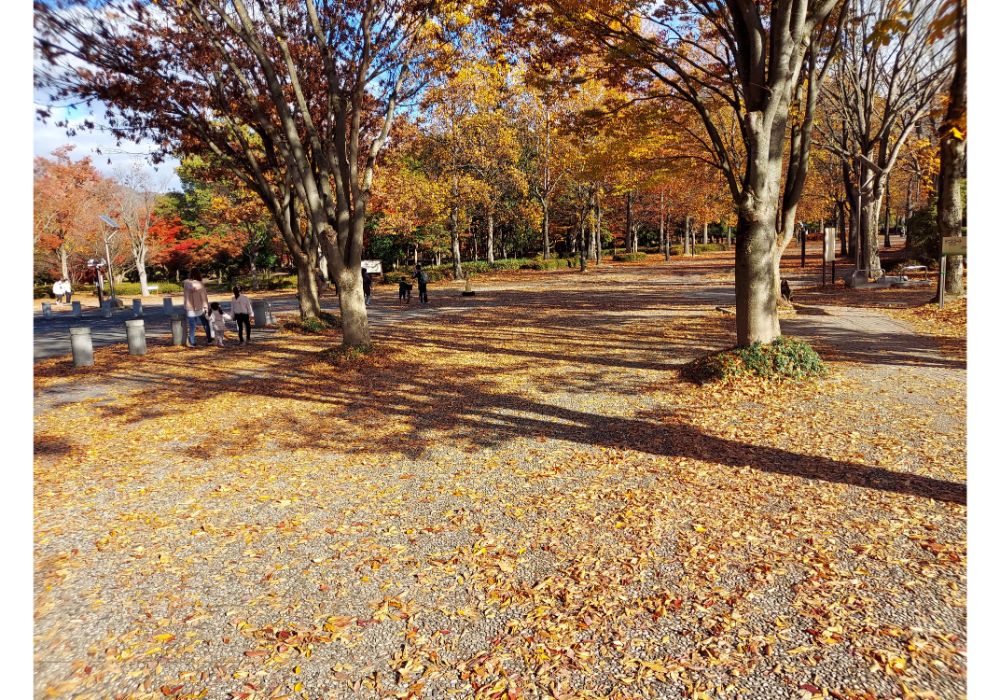山形県総合運動公園ー散策２