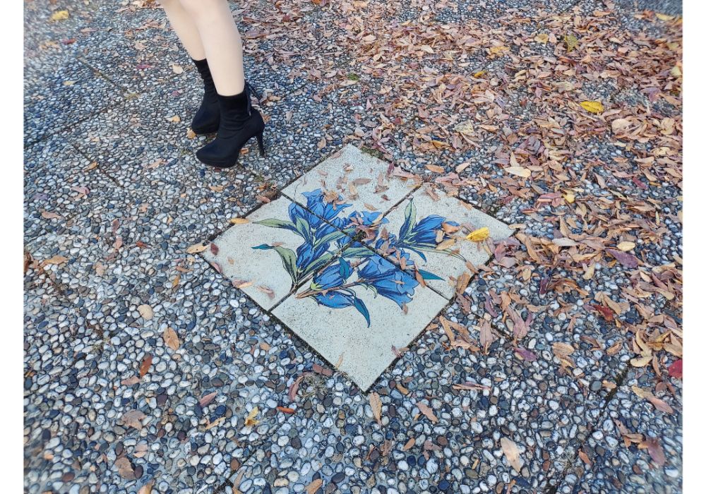 山形県総合運動公園ー散策５