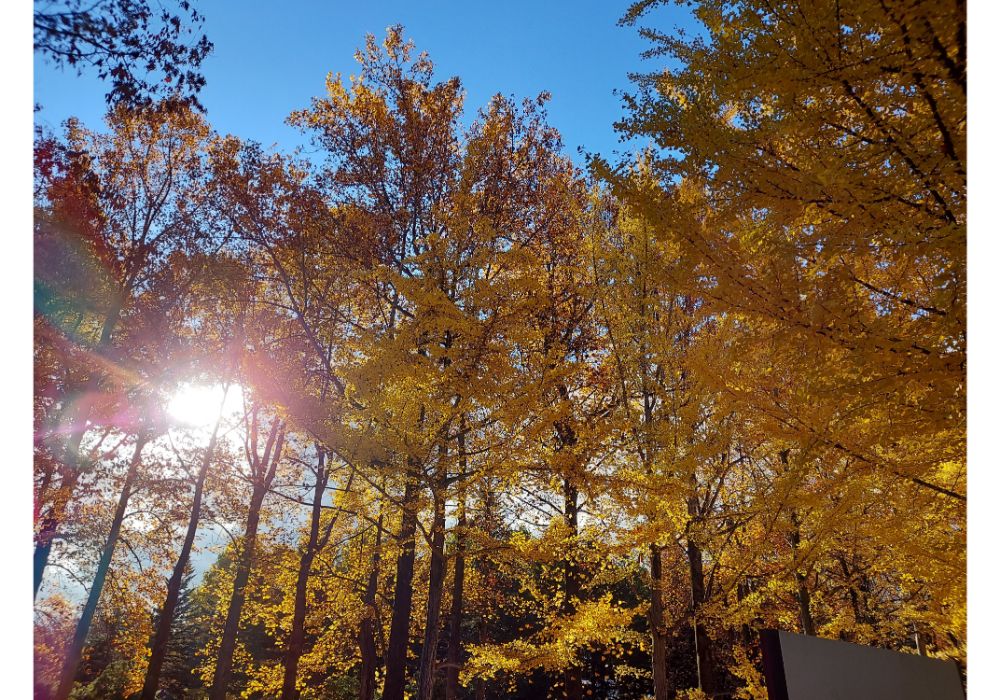山形県総合運動公園ー散策９