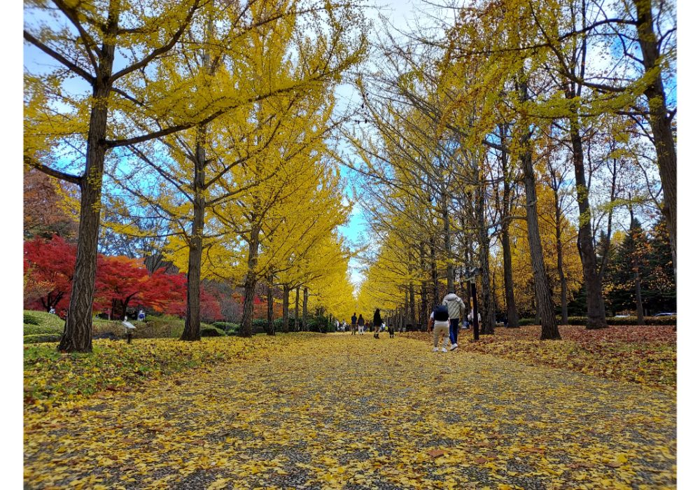 山形県総合運動公園ー散策16