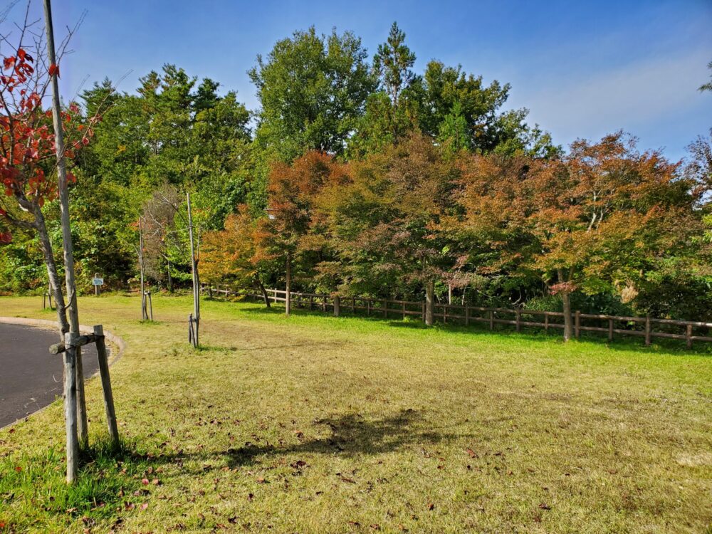 大森山森林公園 (景色)