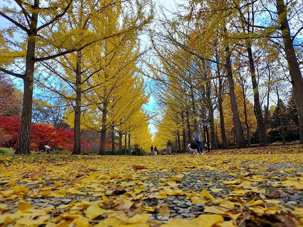 山形県総合運動公園ー散策１５