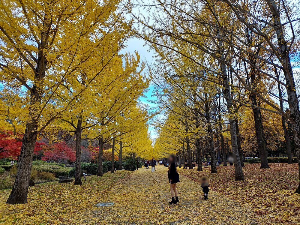 山形県総合運動公園ー散策１２