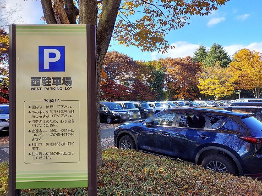 山形県総合運動公園ー駐車場１