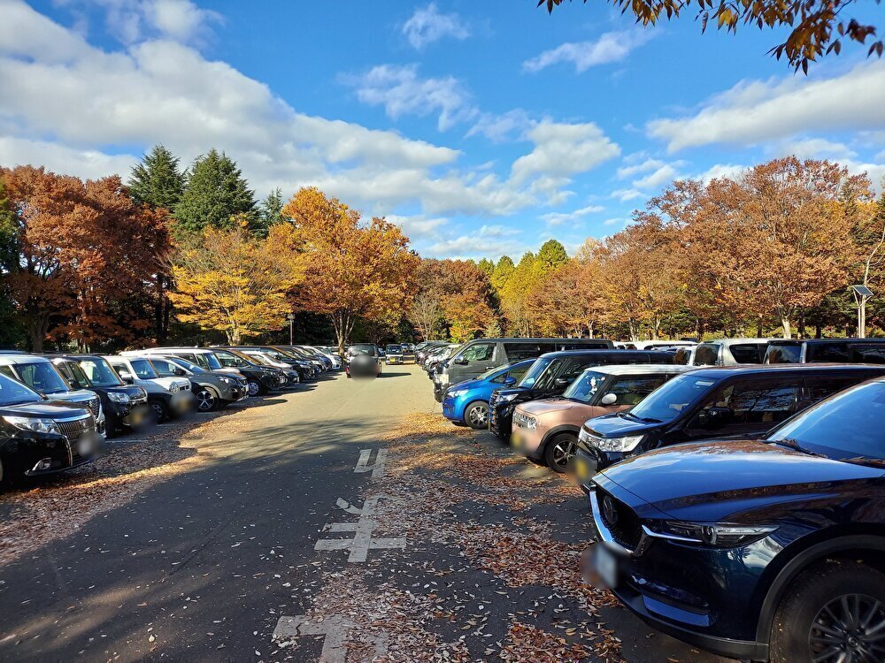 山形県総合運動公園ー散策１