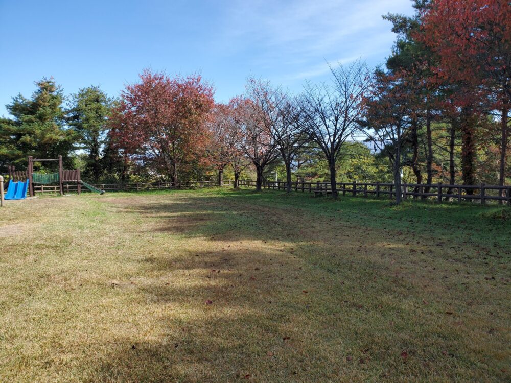 大森山森林公園 (景色)