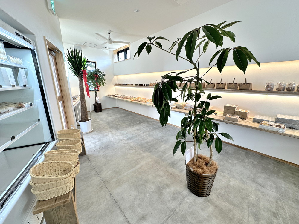 エスカルゴ-店内 (2)