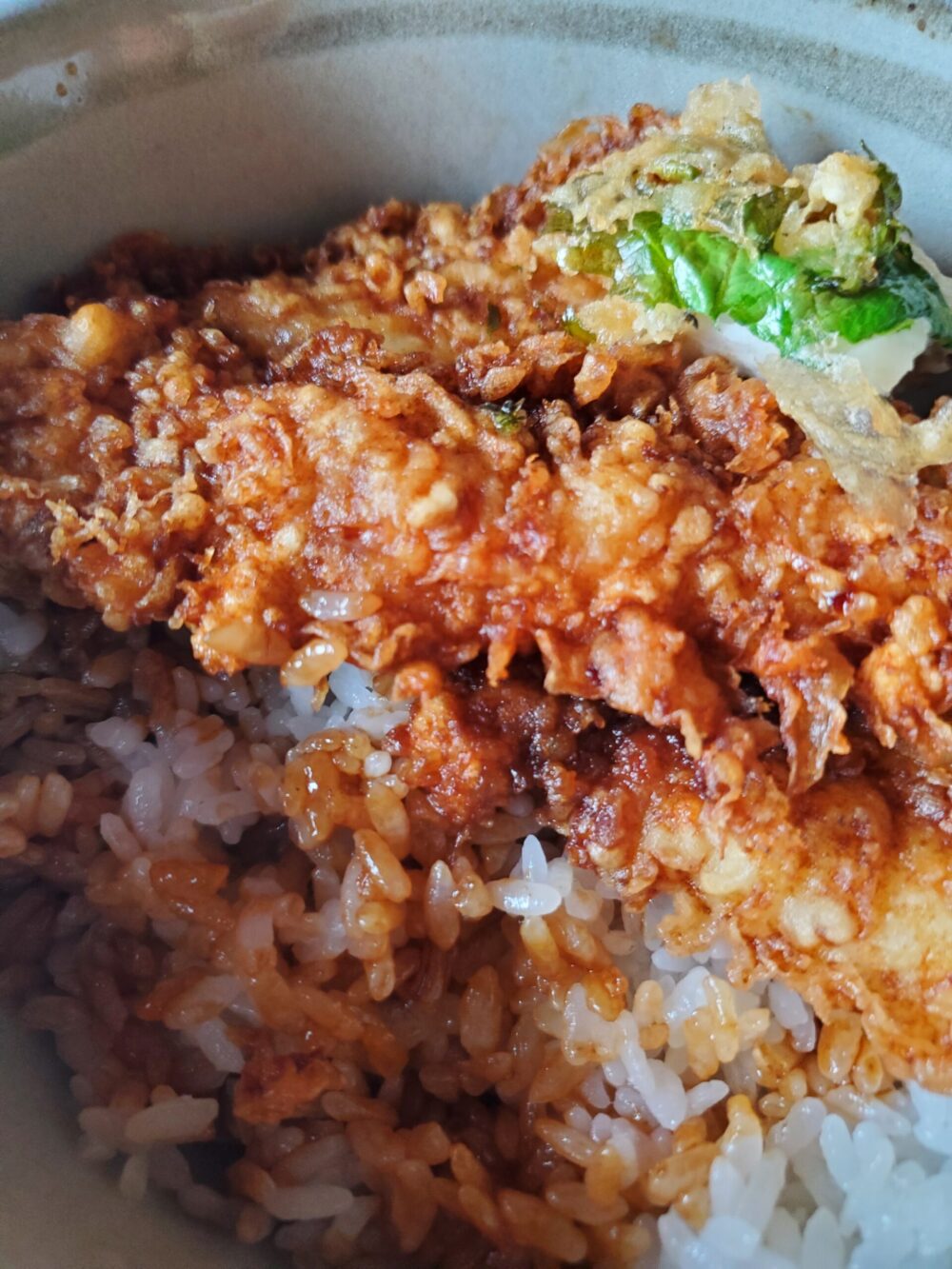 天麩羅つゆ木 (食レポ)