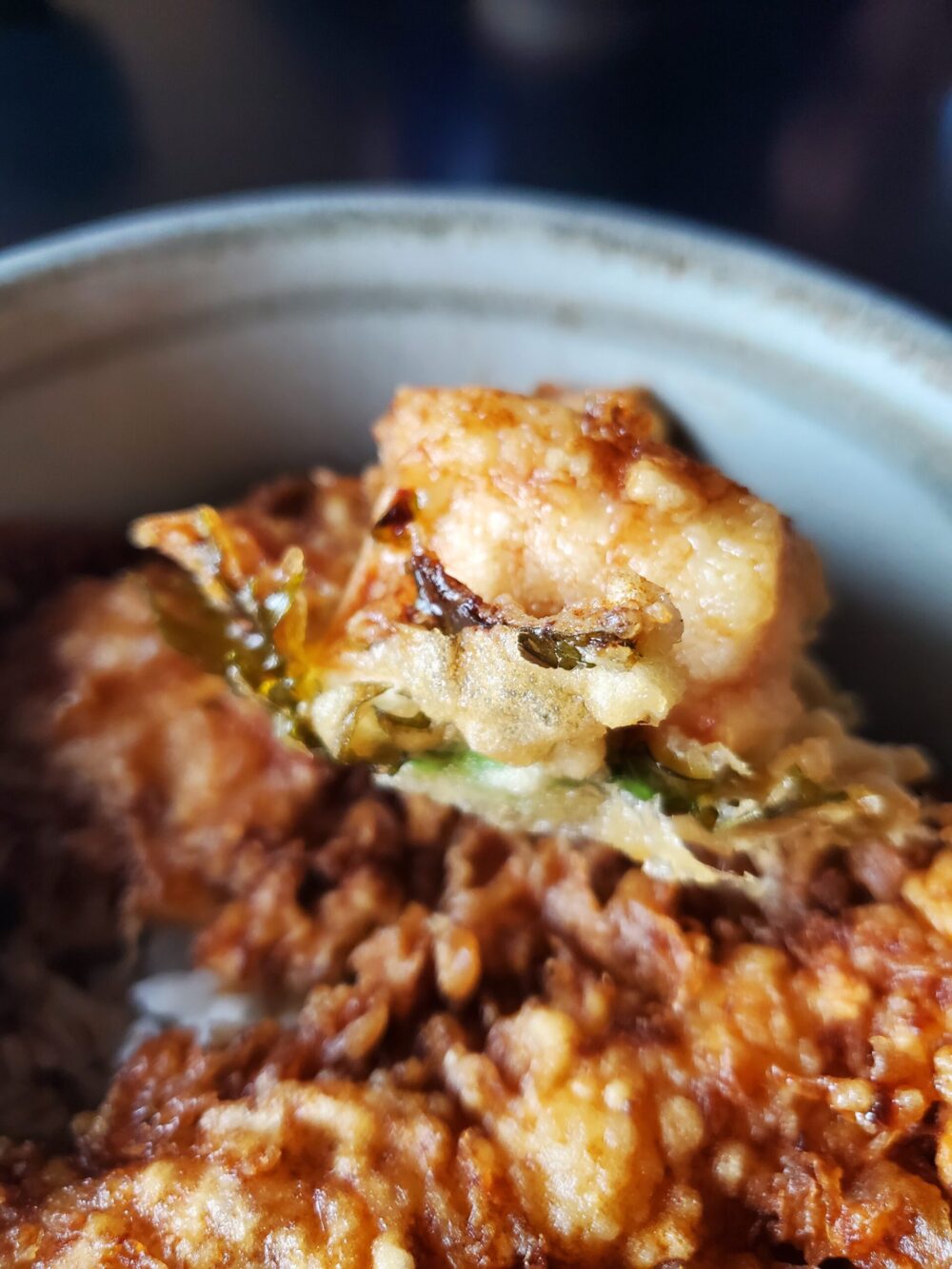 天麩羅つゆ木 (食レポ)