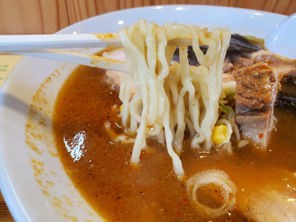 拉麺食堂 (食レポ)