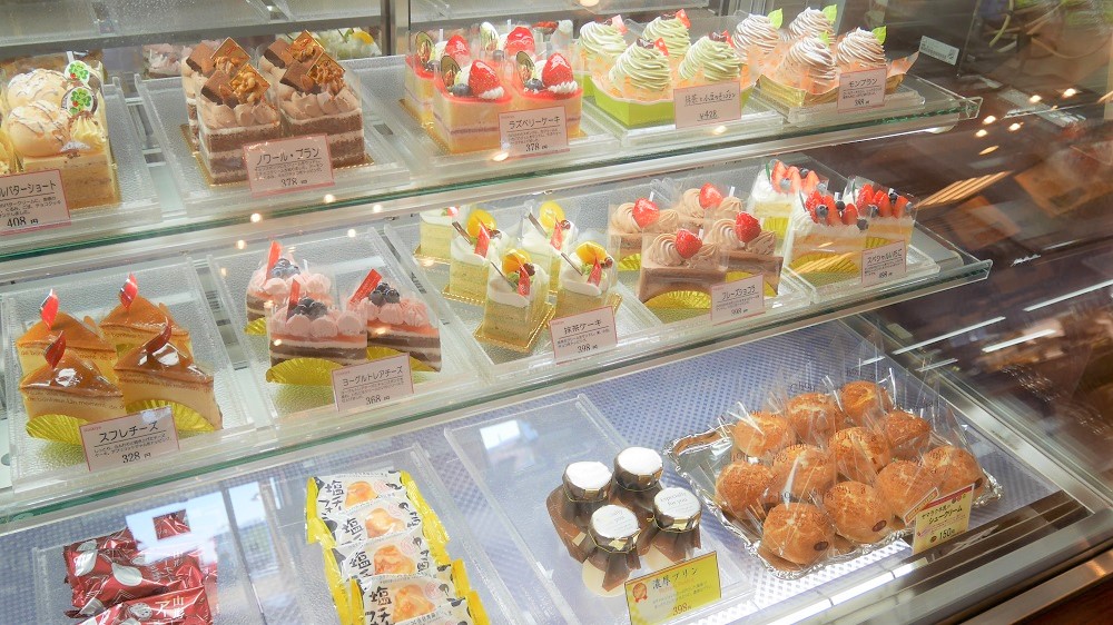 南の陽だまり16