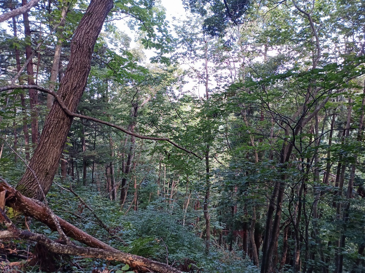 LINE_ALBUM_220910 水晶山_221001_134