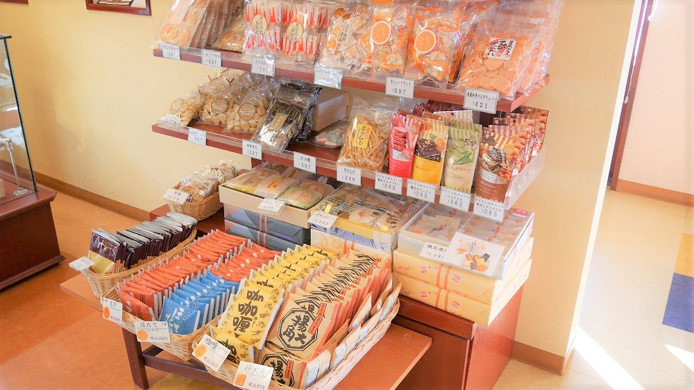 南の陽だまり10