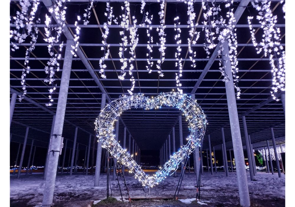 藤島イルミネーションー散策9