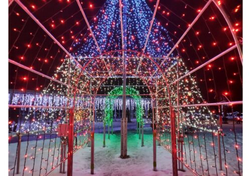 藤島イルミネーションー散策１５