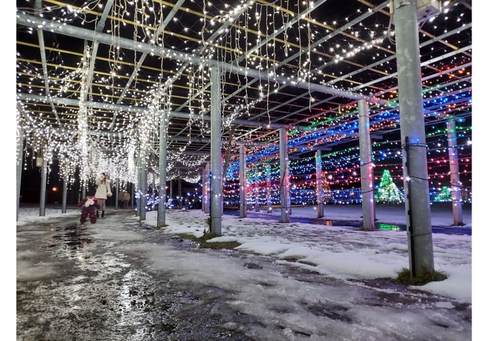 藤島イルミネーションー散策16