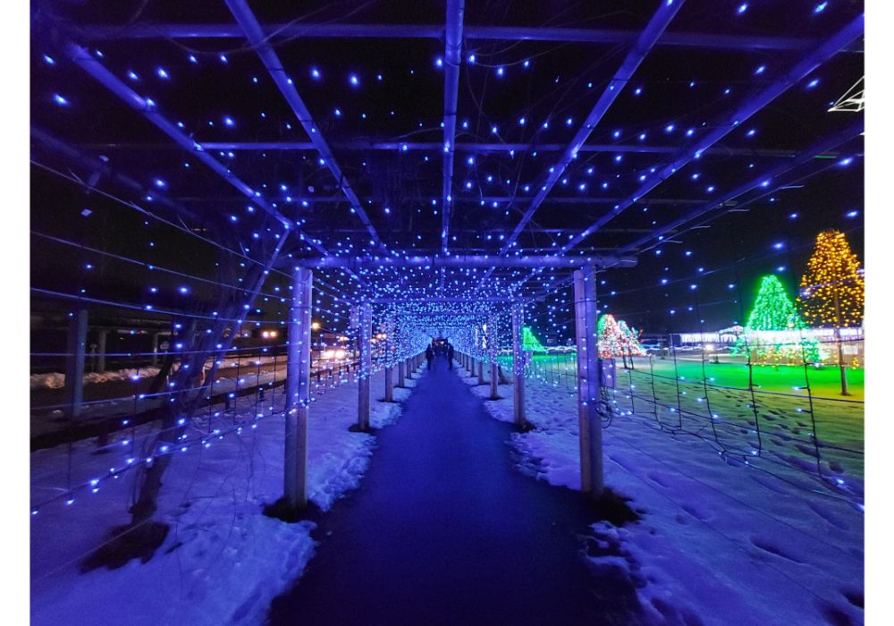 藤島イルミネーションー散策20