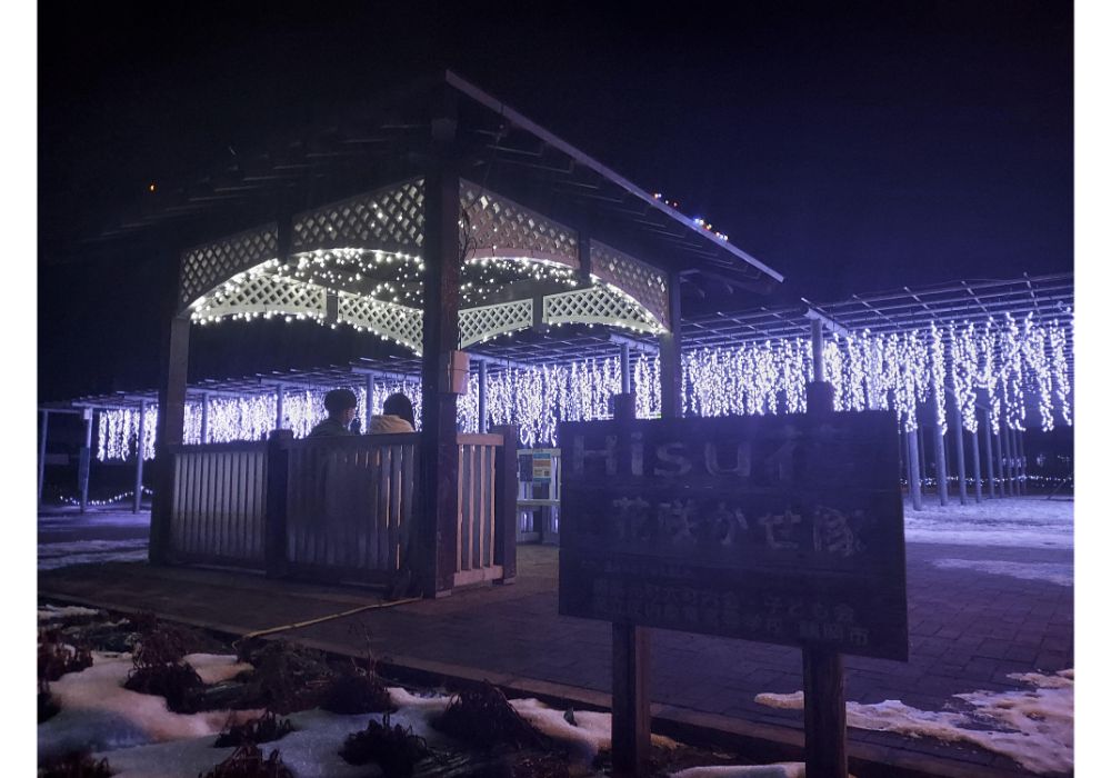 藤島イルミネーションー散策12