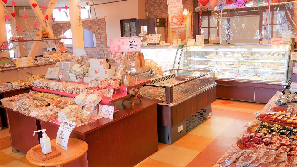 南の陽だまり13