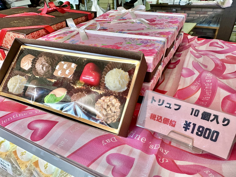 パティシエール・ショージ-チョコレート (6)