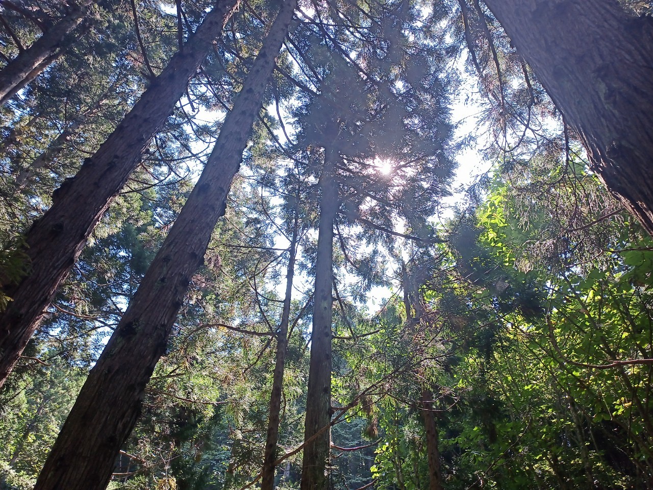 LINE_ALBUM_220910 水晶山_221001_10