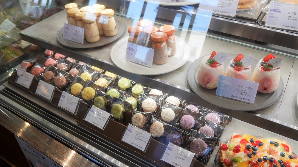 南陽白いくも11