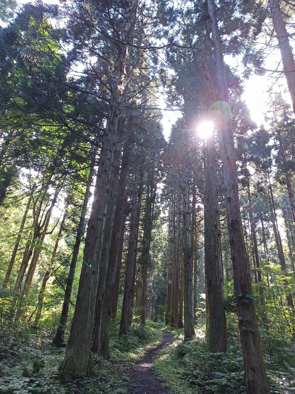 LINE_ALBUM_220910 水晶山_221001_179