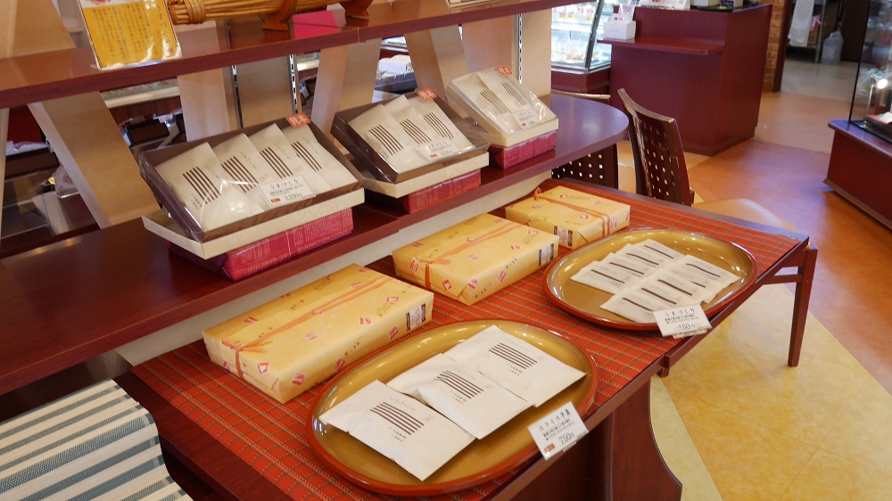 南の陽だまり11