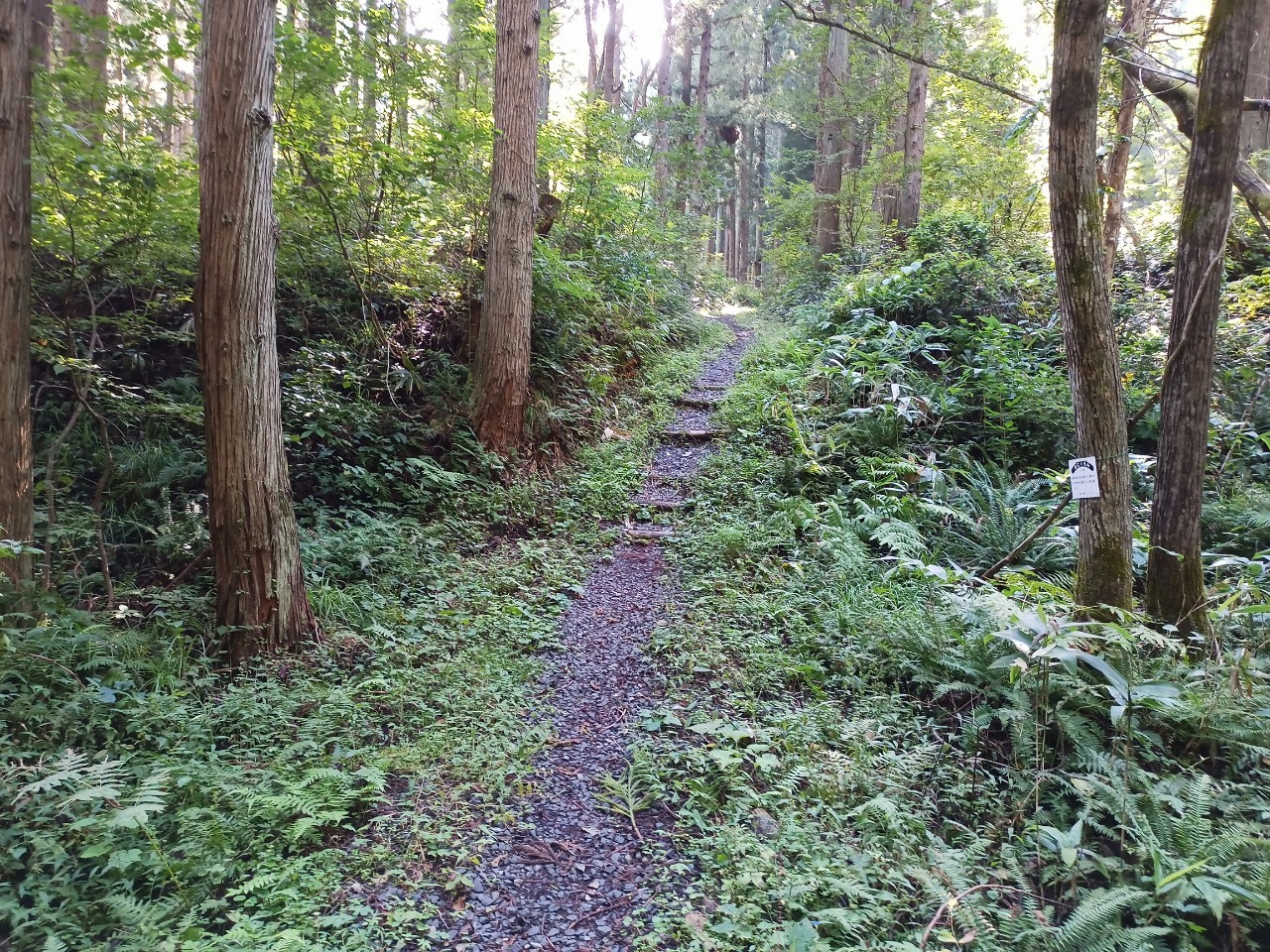 LINE_ALBUM_220910 水晶山_221001_186