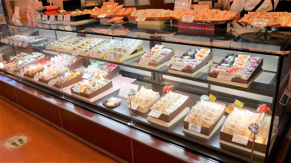 南の陽だまり12