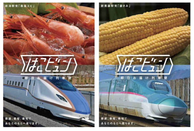 スクリーンショット 2023-03-12 13.38.48