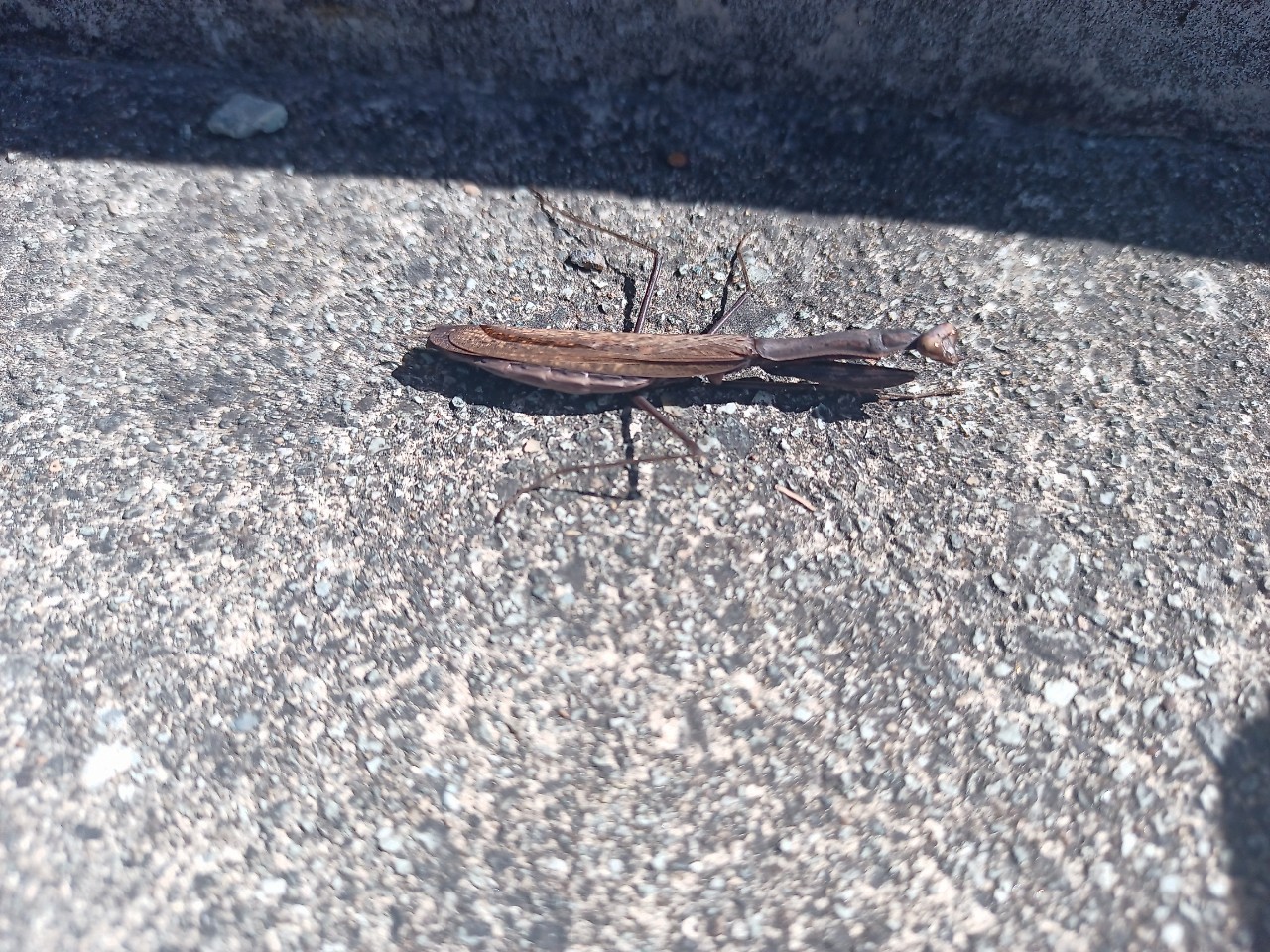 LINE_ALBUM_22025 雨呼山（あめよばりやま）登山_221002_79