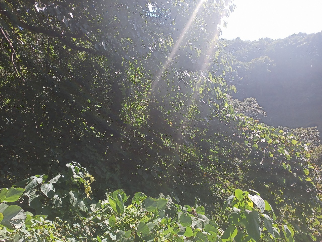 LINE_ALBUM_22025 雨呼山（あめよばりやま）登山_221002_99