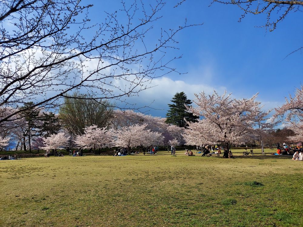 霞城公園ー散策18