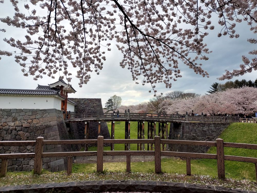 霞城公園ー散策15