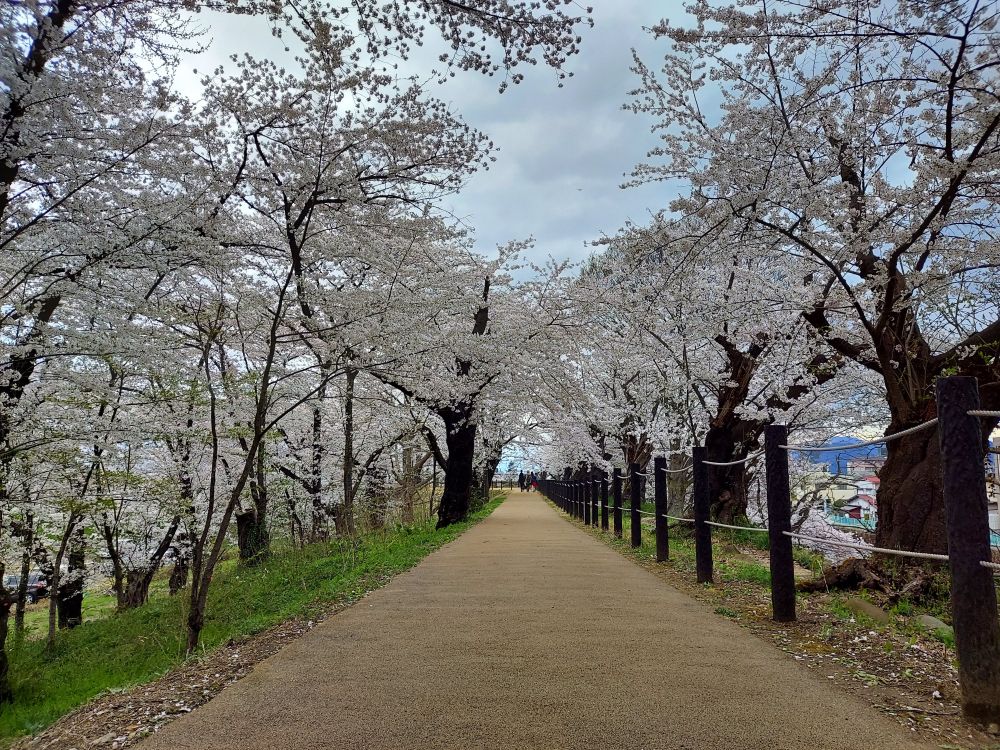 霞城公園ー散策16