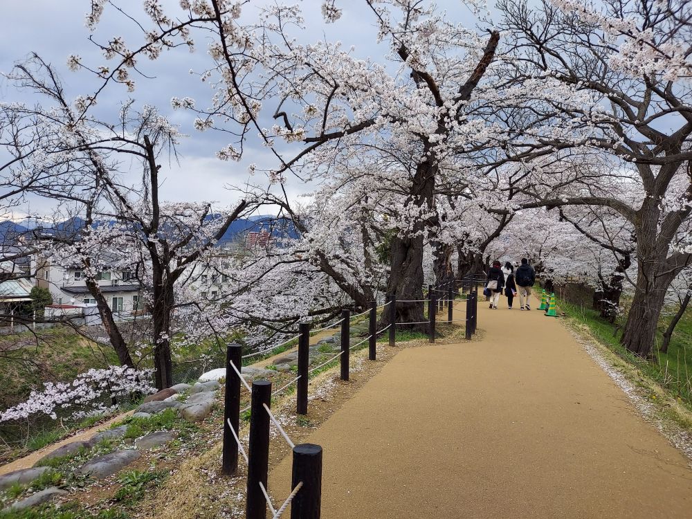 霞城公園ー散策13