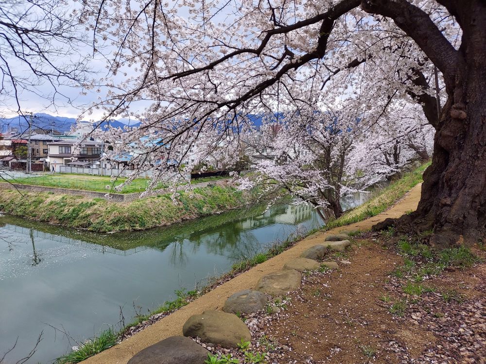 霞城公園ー散策14