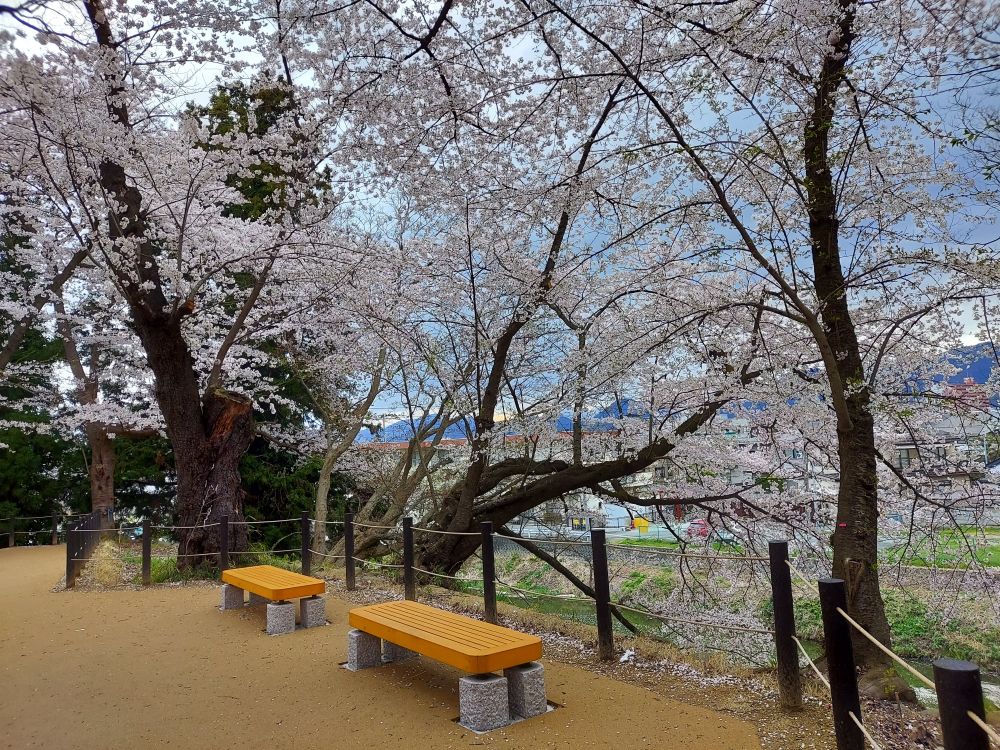霞城公園ー散策11