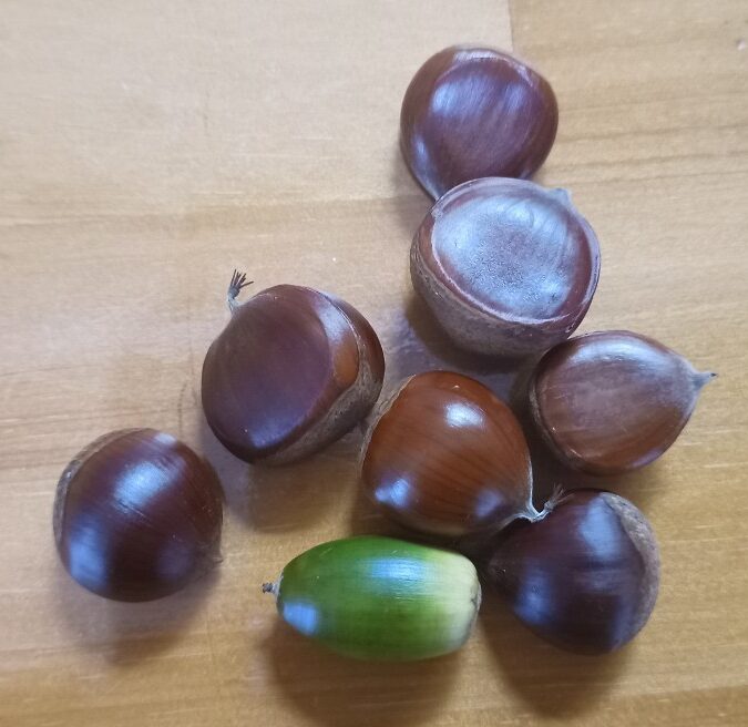 LINE_ALBUM_22025 雨呼山（あめよばりやま）登山_221002_48